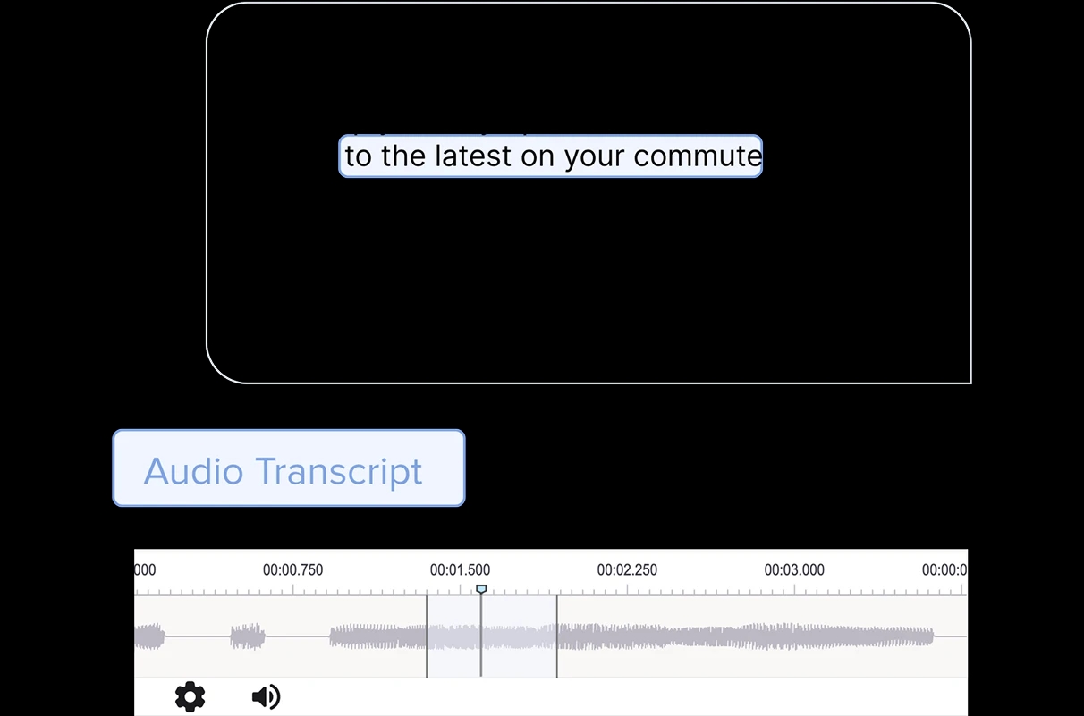 image-/databrewery/customers/audioTranscript.webp