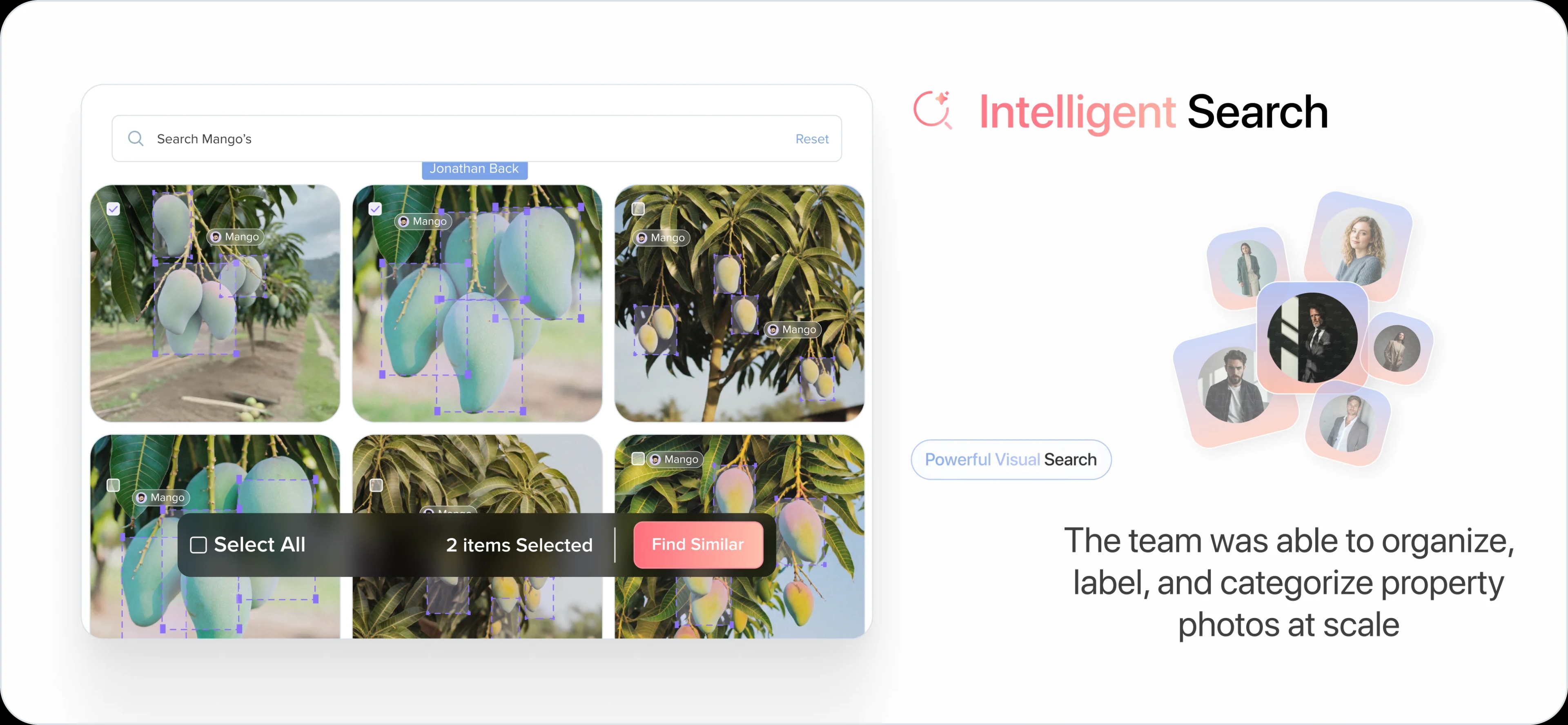 Intelligent Search
